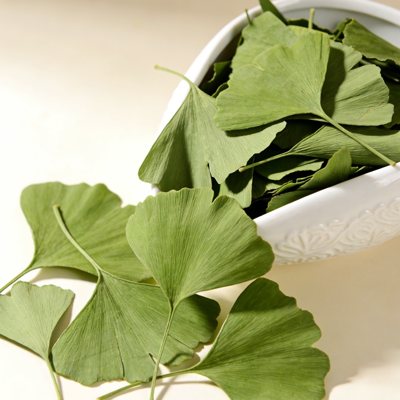 Quality Ginkgo Biloba Dried Le - Home Fragrance Candles ulasan dan harga