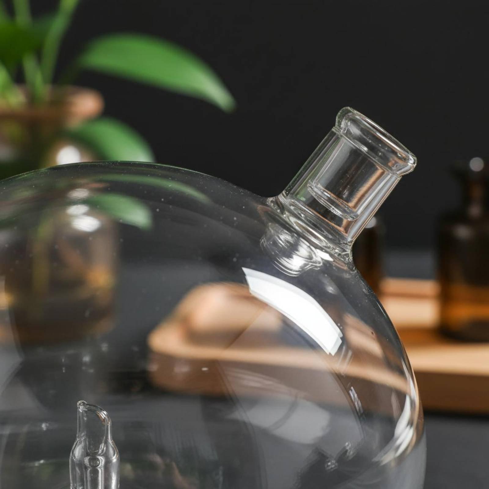 Diffuser Bottle Universal Fit  - Home Fragrance Diffuser ulasan dan harga